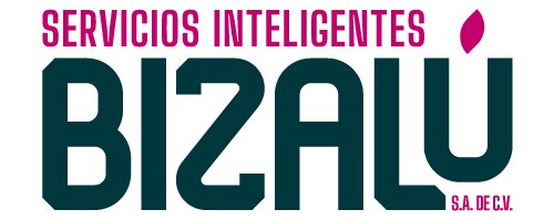 SERVICIOS INTELIGENTES BIZALU